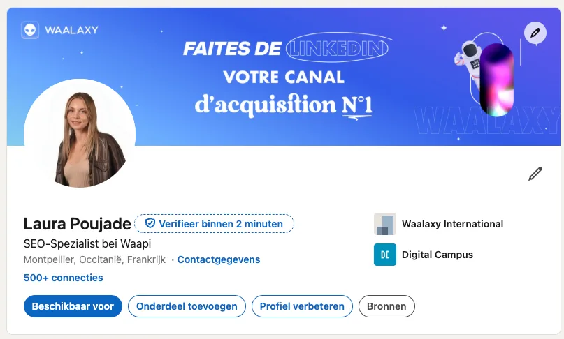 Linkedin profile nl