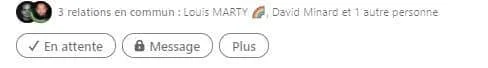 Profil Facebook avec liste de relations en commun (Louis Marty, David Minard) et options de contact