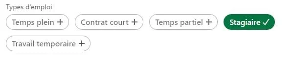 Options d'emploi avec "Stagiaire" sélectionné