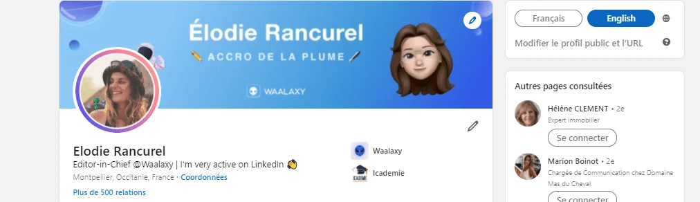 LinkedIn profile - English translation