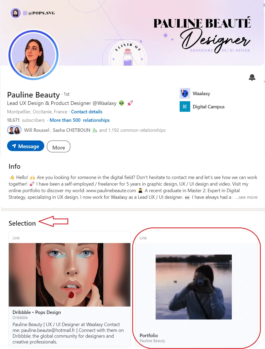 LinkedIn portfolio example